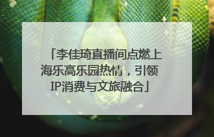 李佳琦直播间点燃上海乐高乐园热情，引领IP消费与文旅融合